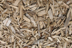 biomass boilers Maythorn